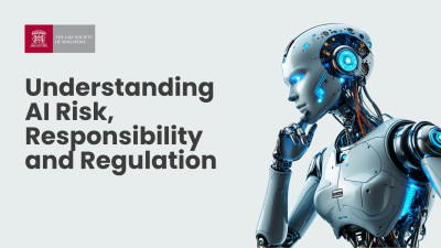 Understanding AI Risk, Responsibility and Regulation