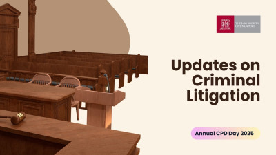 Updates on Criminal Litigation